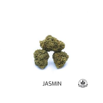 jasmine weed