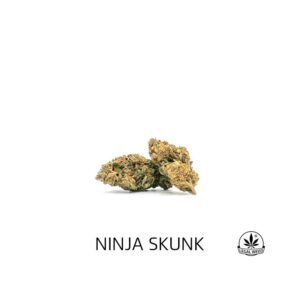 Ninjas Skunk